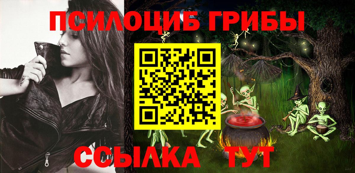 Псилоцибиновые грибы прущие грибы  Вход с VPN  Балтийск 